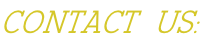 CONTACT  US: